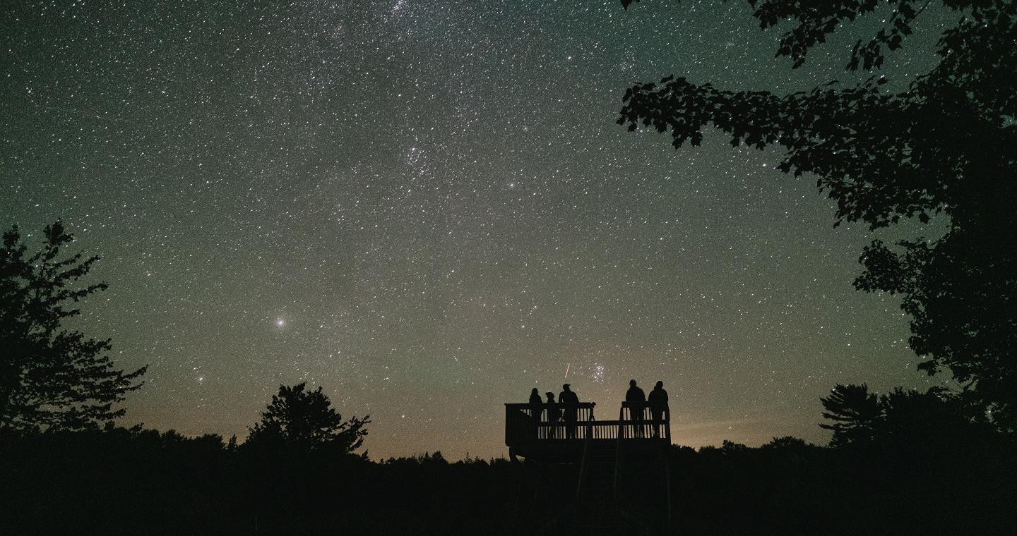 A group of people looking up at the stars
